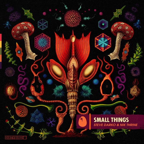 Steve Darko, Nik Thrine - Small Things [DB258]